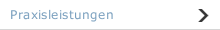 Praxisleistungen